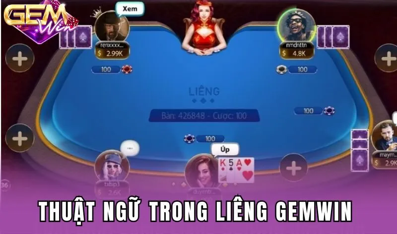 Thuật ngữ trong Liêng Gemwin